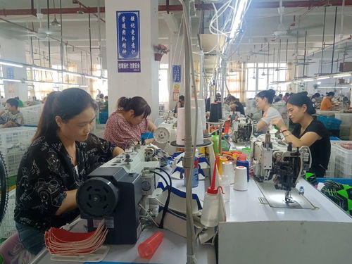 务正道煤电铝循环经济工业园区 全力助推工业经济转型升级,打造高质量发展引擎